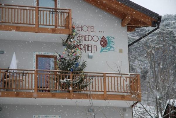 Hotel Faedo Pineta Δωμάτιο φωτογραφία
