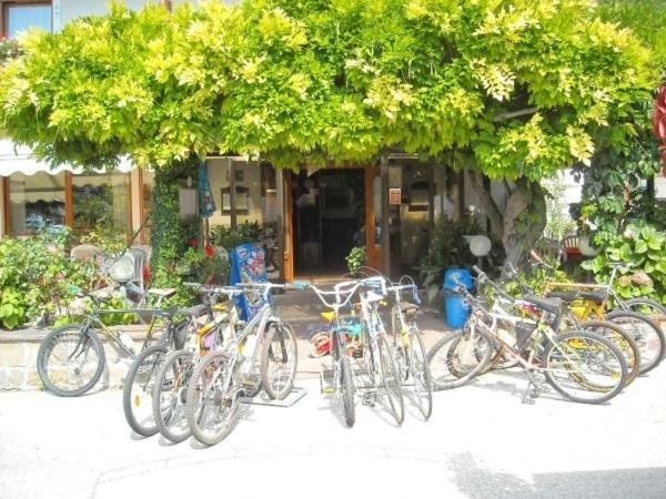 Hotel Faedo Pineta Δωμάτιο φωτογραφία