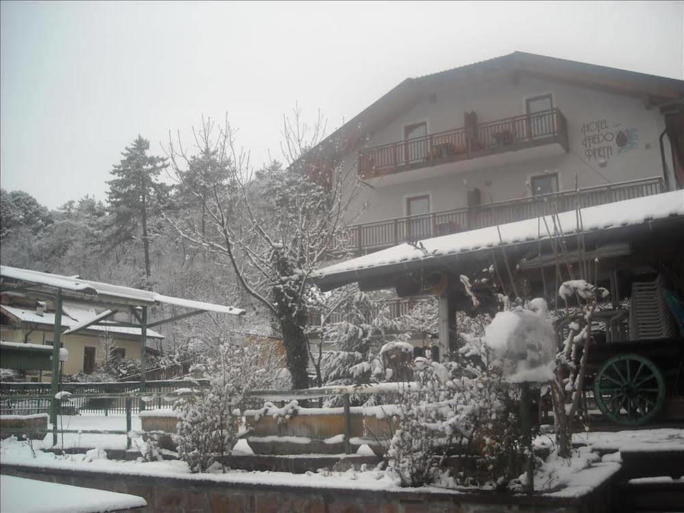 Hotel Faedo Pineta Εξωτερικό φωτογραφία
